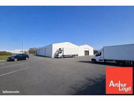 local d'activite 1010 m² niort