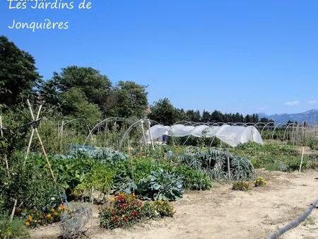 jardins potagers jonquières 84