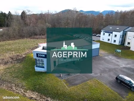 bureaux  atelier 170 m² saint michel sur meurthe