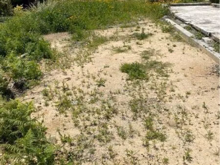 terrain constructible et viabilisé