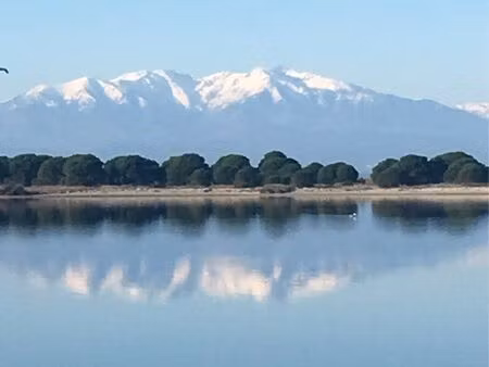 t2 bis au bord de l’étang