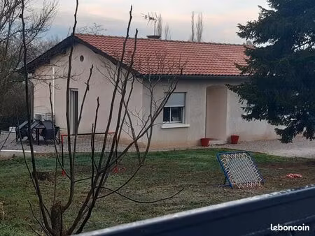 location maison lescout 81110