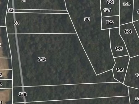 parcelle de taillis ak542 avec accès