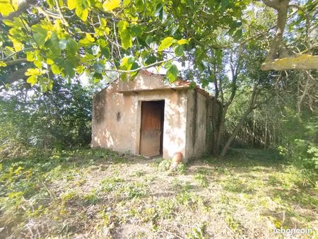 terrain 4500m2 avec bâtisse