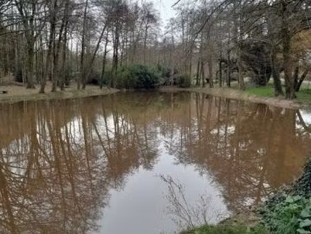 terrain avec etang