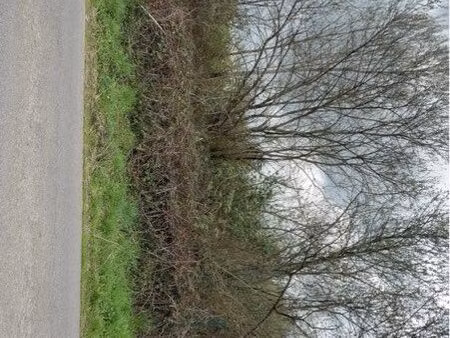 vend  terrain condat sur vienne