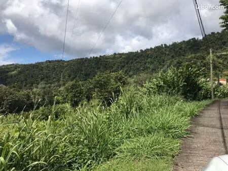 terrain constructible gourbeyre