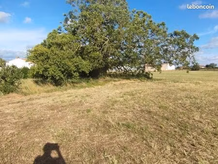 terrain d un hectare dont 6000 m2 constructibles