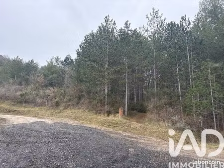 terrain 240000 m² roquetaillade