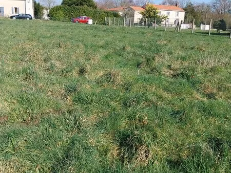 terrain constructible