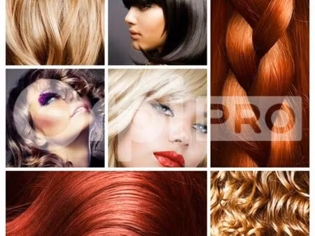 fonds de commerce 170 m²