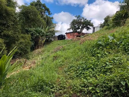 terrain - 700 m² - le morne-rouge