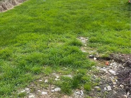 terrain constructible triaize