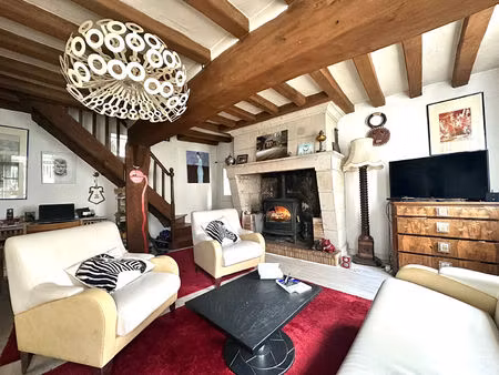 maison ancienne bord de loire sur blaison gohier avec jardin et gîte rénover à seulement 8