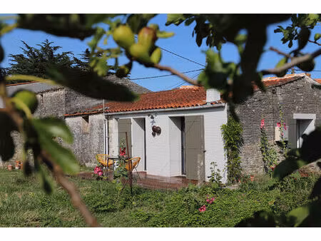 le château d oléron - ensemble immobilier chais et dépendances rénovées