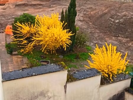 recherche maison location