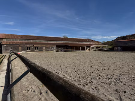 haras du mas de meyrie