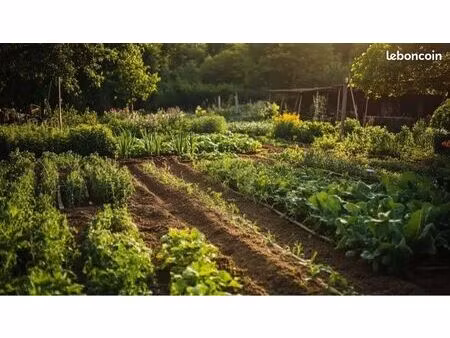 location terrain / jardin – 1700 m² – bourges