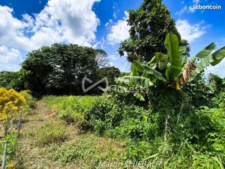 terrain 631 m² le lamentin