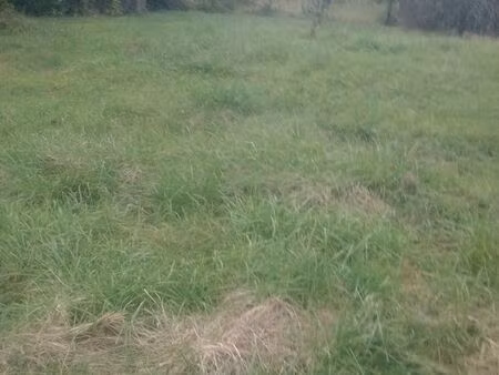 terrain constructible