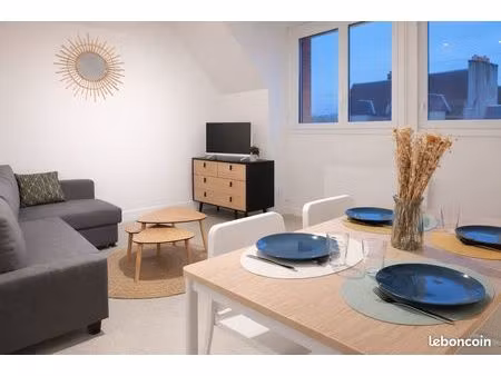 ? charmant t2 meublé lumineux + jardin & parking privé - gien