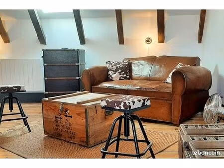 loft meublé de 60 m² proche du centre ville