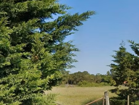 terrain à bâtir sur la commune de notre dame de monts