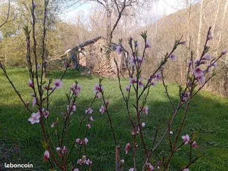 vend petit coin de paradis dans la vallée du tarn avec un lot de foncier de 91 are et d'un