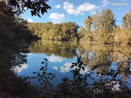 bois avec plan d'eau