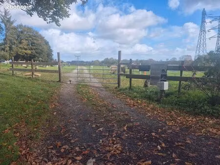 terrain agricole 5 hec prairie chevaux