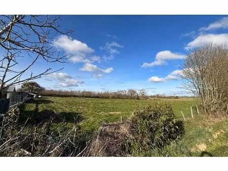 terrain sedze-maubecq m² t- à vendre  18 000 €