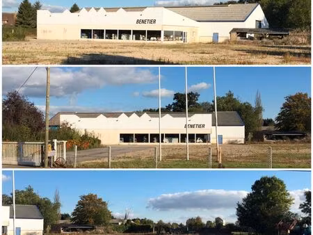 locaux d'activité avec bureaux et grand terrain