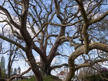 grande maison familiale très récente