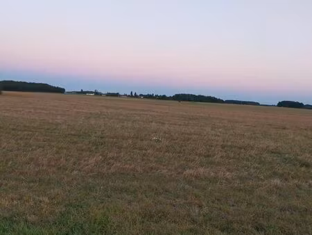 terrain constructible