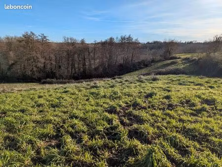 prairie ou terrain en friche