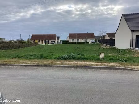 terrain constructible