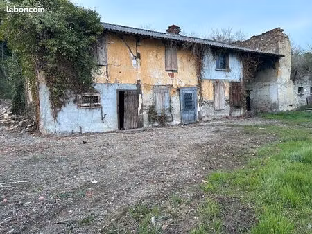 ruine sur 9638 m2 terrain avec vue pyrénées