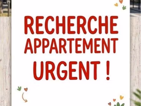 appartement location