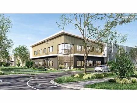 local bureaux 493 m²