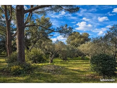 terrain 2900 m² villeneuve les avignon