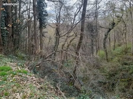 foret  bois  terrain 2 5 hectares sud de lyon