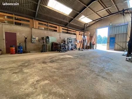 local d'activite 480 m² martot