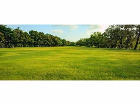 recherche terrain constructible