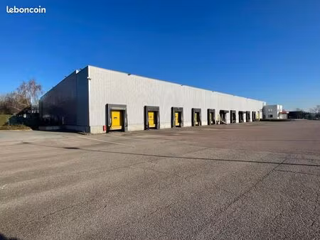 local industriel 6 617 m²