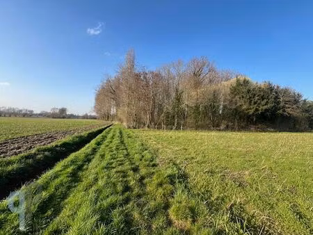 terrain à vendre à balegem € 40.000 (lm3l9) - p&p | zimmo
