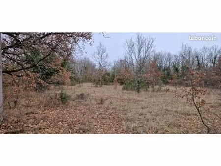 terrain constructible