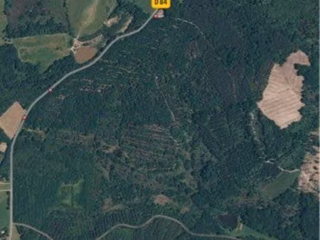 propriété forestière