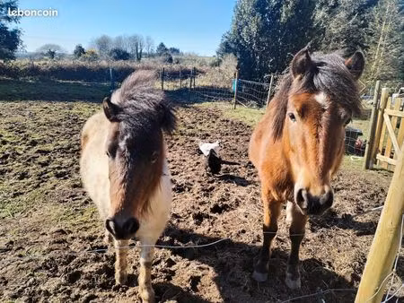 cherche terrain à louer