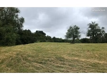 beau terrain de loisir 8 000 m² à marly 57155 – idéal famille et projet nature à 8 minutes