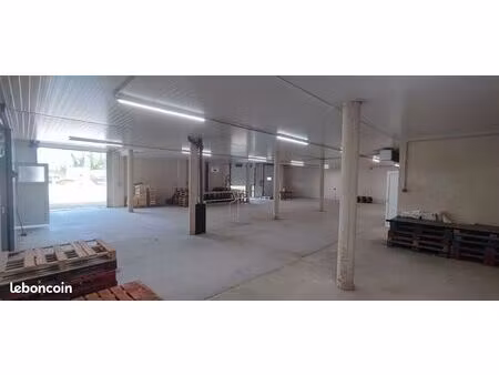 local commercial professionnel